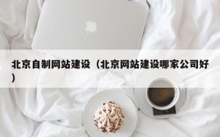 大兴安岭北京自制网站建设（北京网站建设哪家公司好）